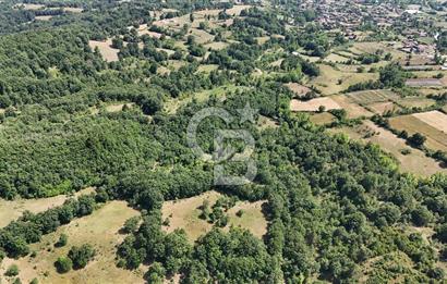 Çanakkale Yenice Örencik Köyü'nde 1411 M² Satılık Tarla!
