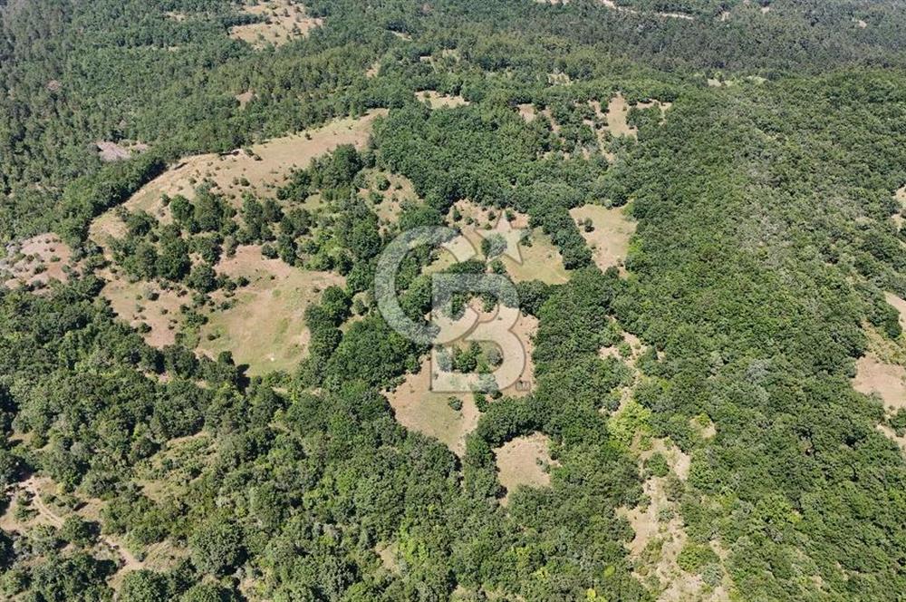 Çanakkale Yenice Örencik Köyü'nde 1411 M² Satılık Tarla!