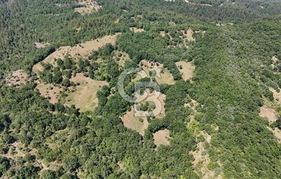 Çanakkale Yenice Örencik Köyü'nde 1411 M² Satılık Tarla!