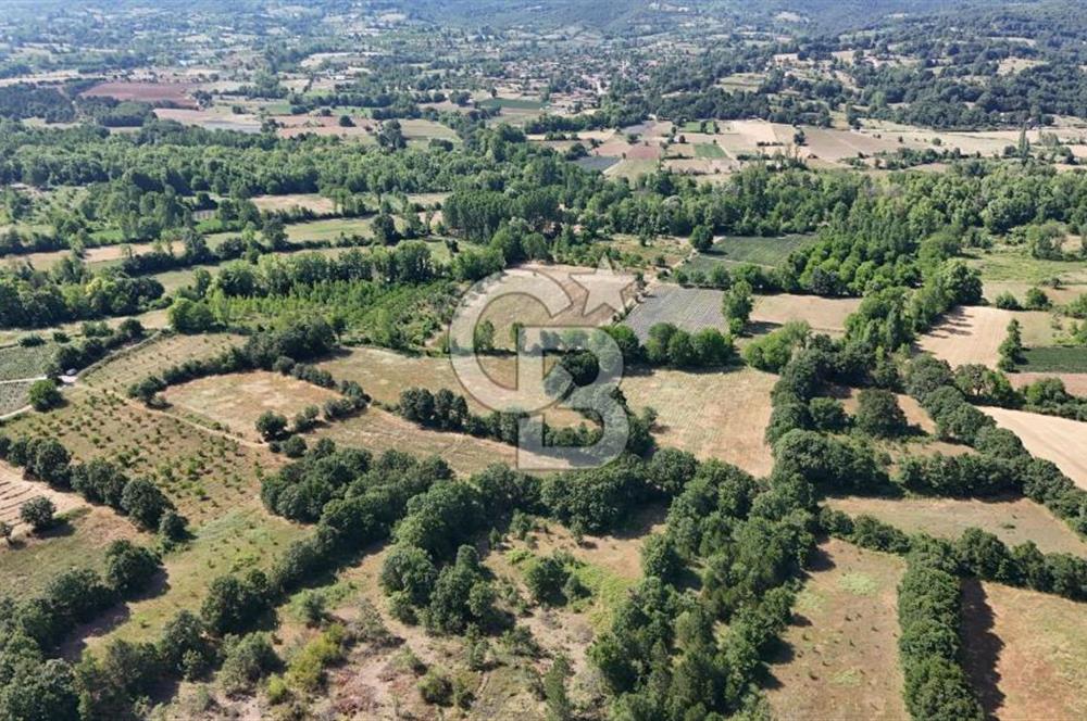 Çanakkale Yenice Örencik Köyü'nde 1902 M² Satılık Tarla !