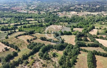 Çanakkale Yenice Örencik Köyü'nde 1902 M² Satılık Tarla !