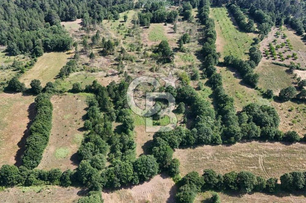 Çanakkale Yenice Örencik Köyü'nde 1902 M² Satılık Tarla !