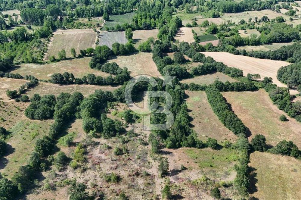 Çanakkale Yenice Örencik Köyü'nde 1902 M² Satılık Tarla !