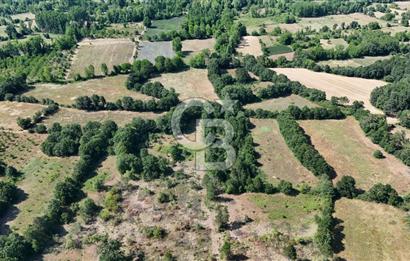 Çanakkale Yenice Örencik Köyü'nde 1902 M² Satılık Tarla !