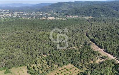 Çanakkale Yenice Örencik Köyü'nde Satılık 7123 M² Tarla !