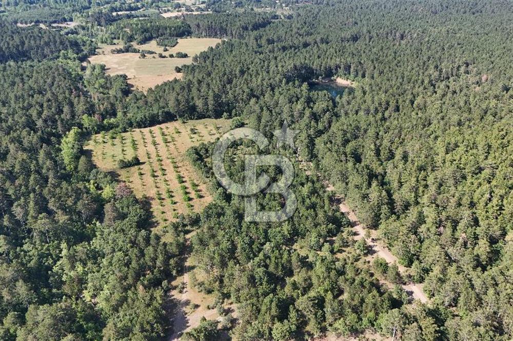 Çanakkale Yenice Örencik Köyü'nde Satılık 7123 M² Tarla !
