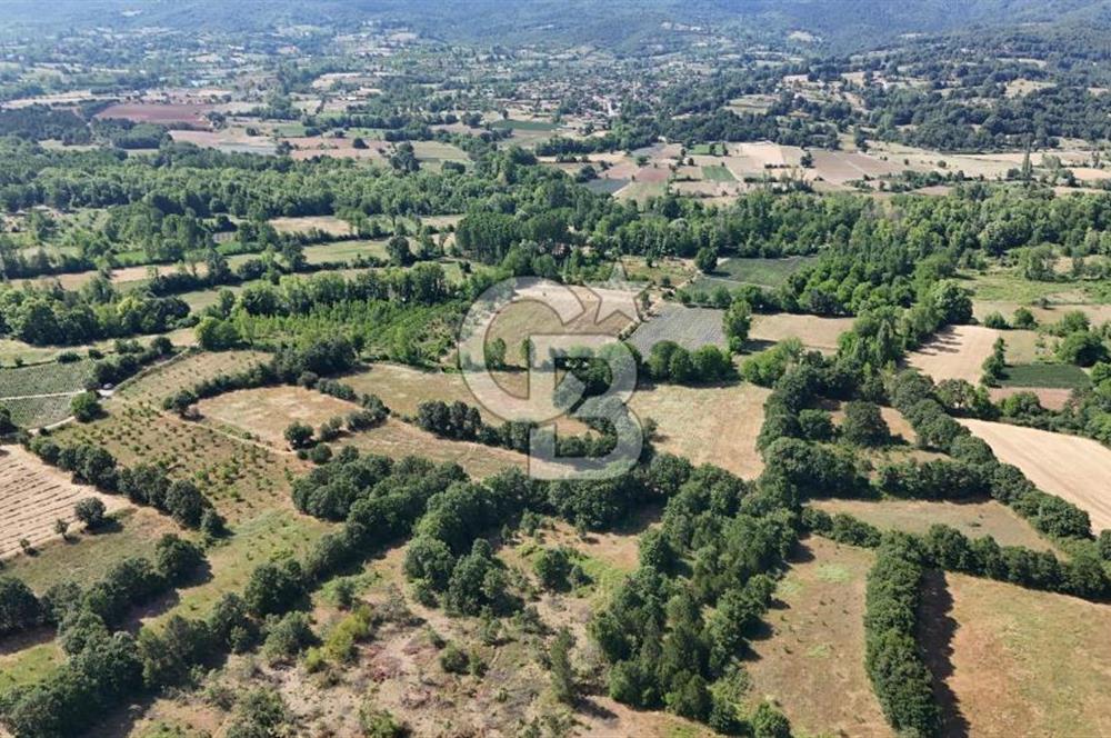 Çanakkale Yenice Örencik Köyü'nde 1902 M² Satılık Tarla !