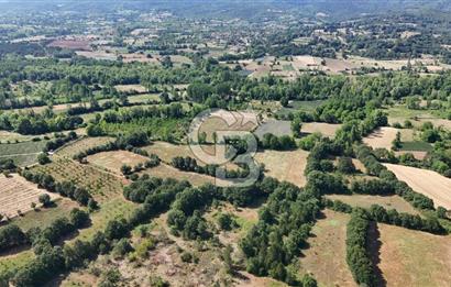 Çanakkale Yenice Örencik Köyü'nde 1902 M² Satılık Tarla !