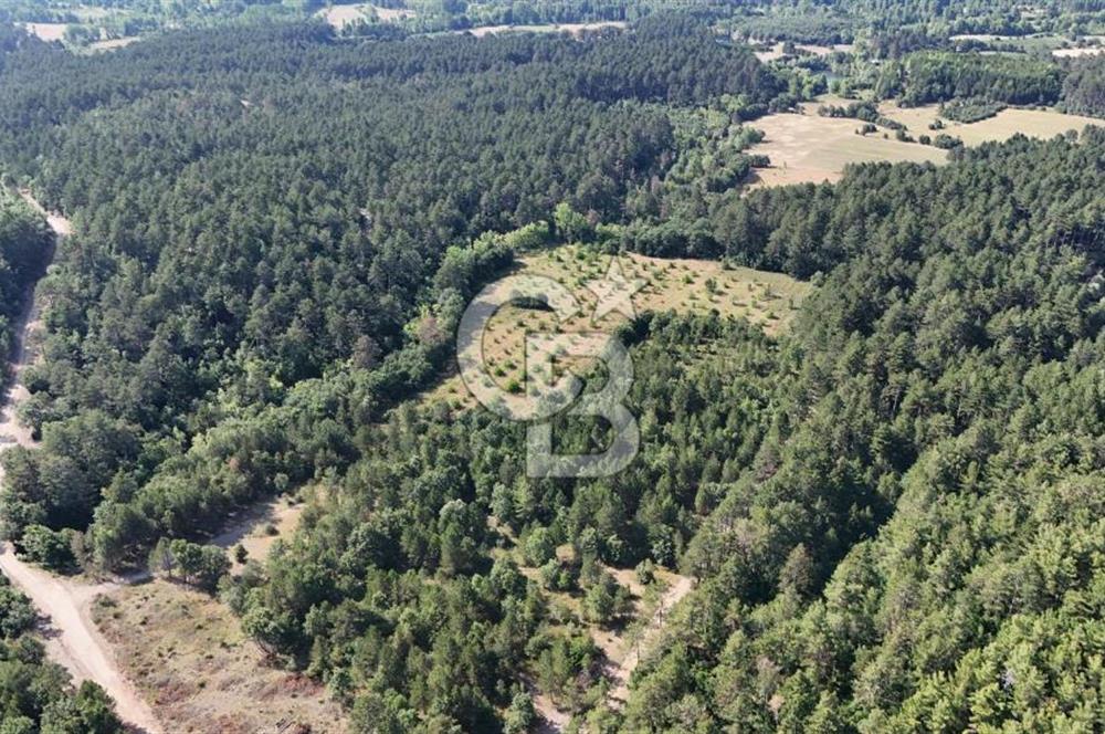 Çanakkale Yenice Örencik Köyü'nde Satılık 7123 M² Tarla !