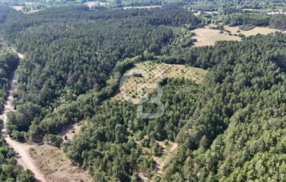 Çanakkale Yenice Örencik Köyü'nde Satılık 7123 M² Tarla !