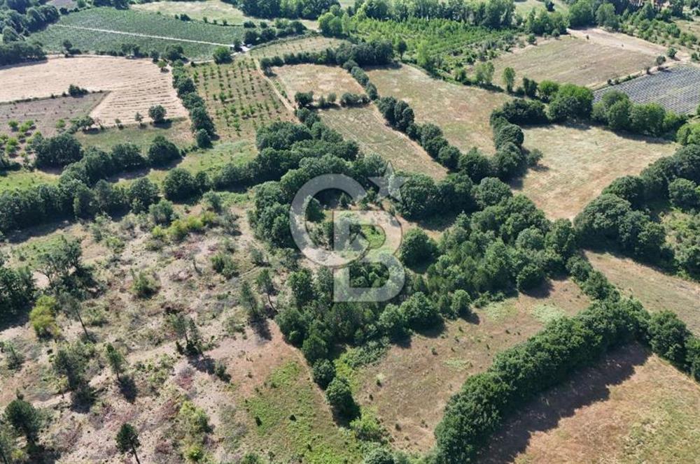 Çanakkale Yenice Örencik Köyü'nde 1902 M² Satılık Tarla !