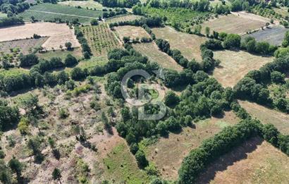 Çanakkale Yenice Örencik Köyü'nde 1902 M² Satılık Tarla !