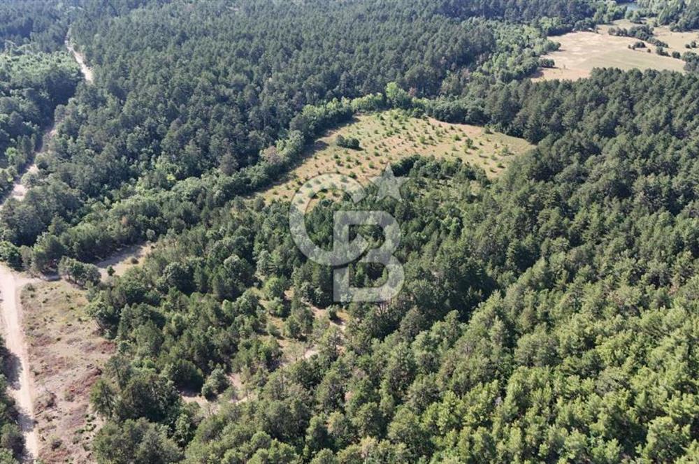 Çanakkale Yenice Örencik Köyü'nde Satılık 7123 M² Tarla !