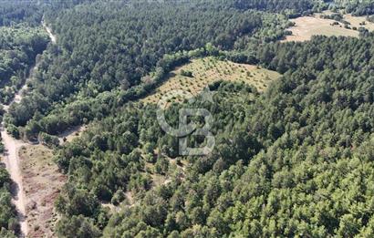 Çanakkale Yenice Örencik Köyü'nde Satılık 7123 M² Tarla !
