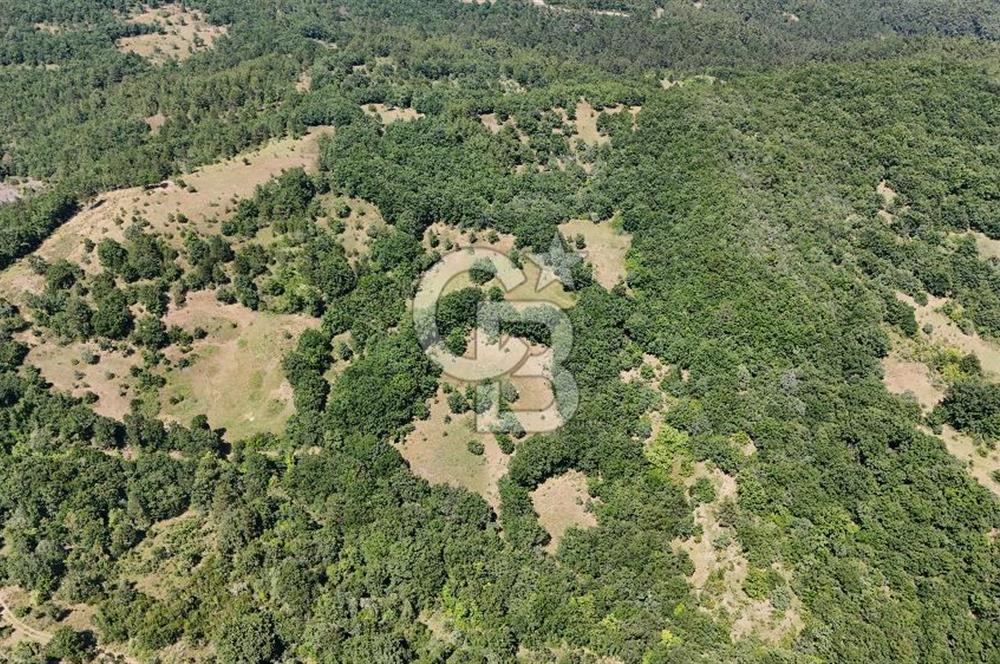 Çanakkale Yenice Örencik Köyü'nde 1411 M² Satılık Tarla!