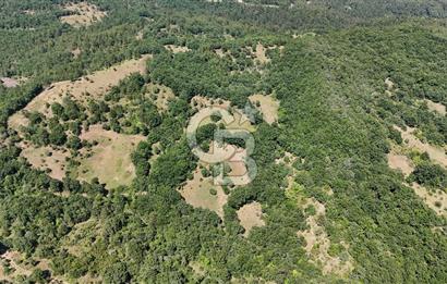 Çanakkale Yenice Örencik Köyü'nde 1411 M² Satılık Tarla!