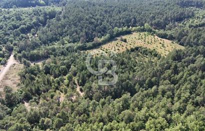Çanakkale Yenice Örencik Köyü'nde Satılık 7123 M² Tarla !