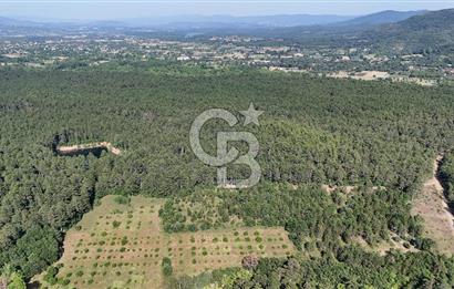 Çanakkale Yenice Örencik Köyü'nde Satılık 7123 M² Tarla !