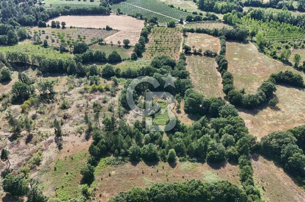 Çanakkale Yenice Örencik Köyü'nde 1902 M² Satılık Tarla !