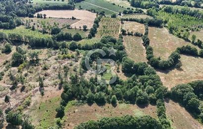 Çanakkale Yenice Örencik Köyü'nde 1902 M² Satılık Tarla !