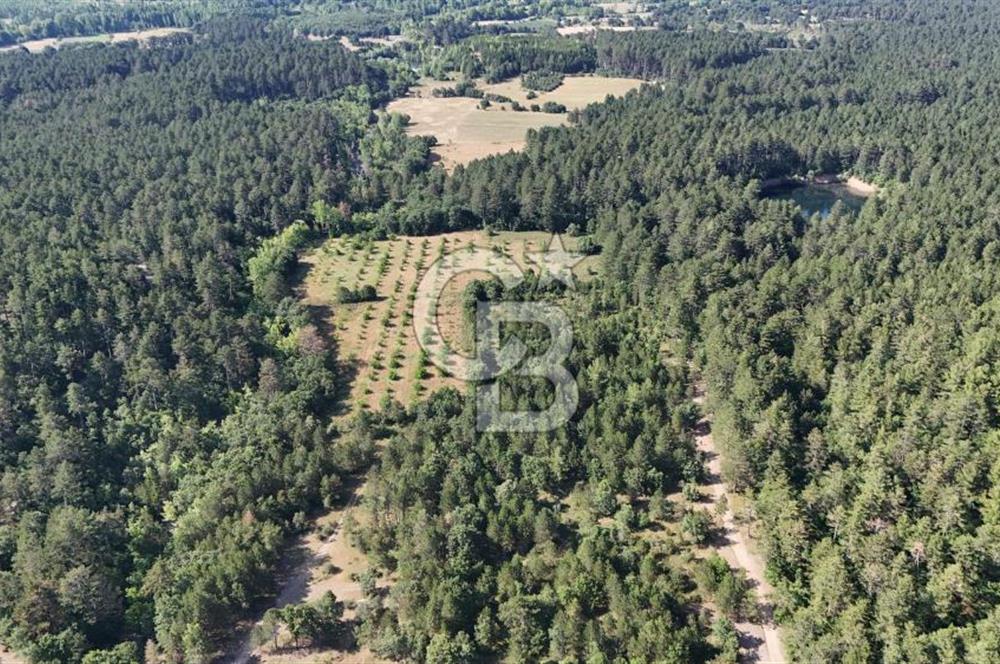 Çanakkale Yenice Örencik Köyü'nde Satılık 7123 M² Tarla !