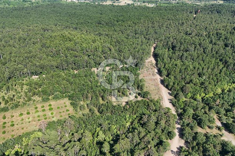Çanakkale Yenice Örencik Köyü'nde Satılık 7123 M² Tarla !