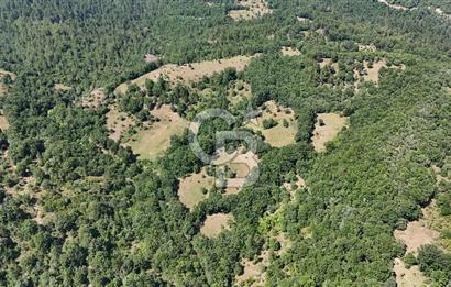 Çanakkale Yenice Örencik Köyü'nde 3935 M² Satılık Tarla !