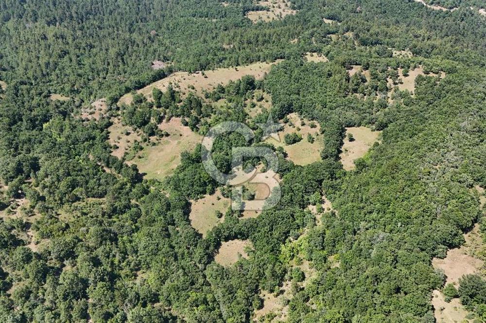 Çanakkale Yenice Örencik Köyü'nde 1411 M² Satılık Tarla!