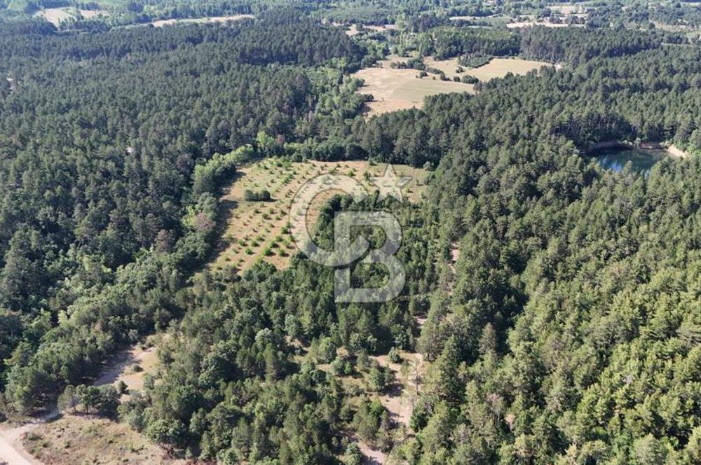 Çanakkale Yenice Örencik Köyü'nde Satılık 7123 M² Tarla !