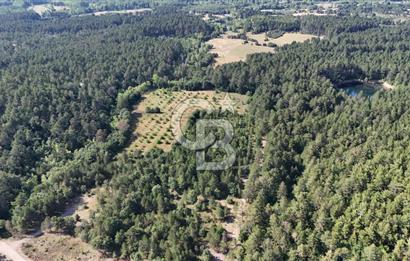 Çanakkale Yenice Örencik Köyü'nde Satılık 7123 M² Tarla !