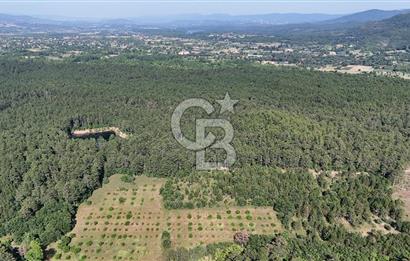 Çanakkale Yenice Örencik Köyü'nde Satılık 7123 M² Tarla !