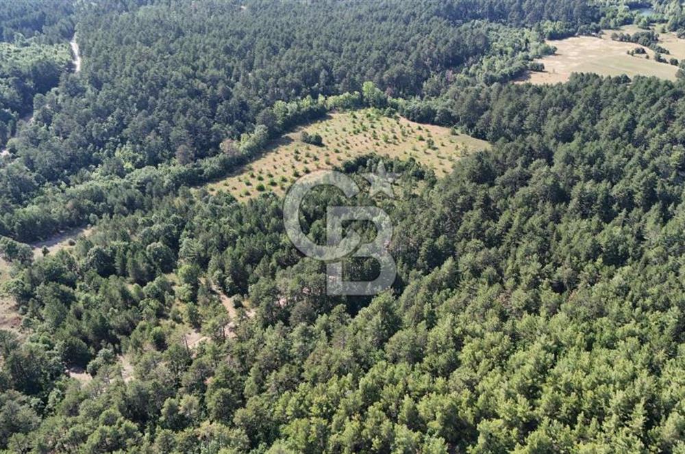 Çanakkale Yenice Örencik Köyü'nde Satılık 7123 M² Tarla !