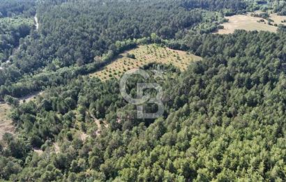 Çanakkale Yenice Örencik Köyü'nde Satılık 7123 M² Tarla !