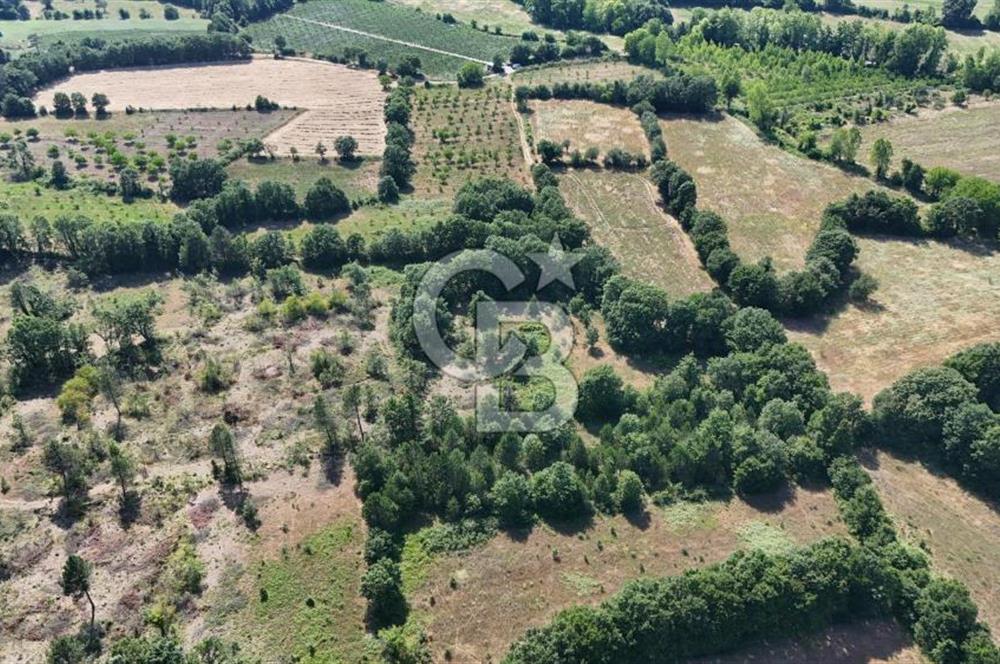Çanakkale Yenice Örencik Köyü'nde 1902 M² Satılık Tarla !