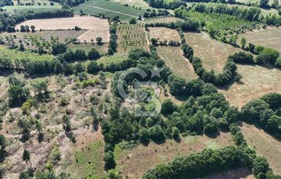 Çanakkale Yenice Örencik Köyü'nde 1902 M² Satılık Tarla !