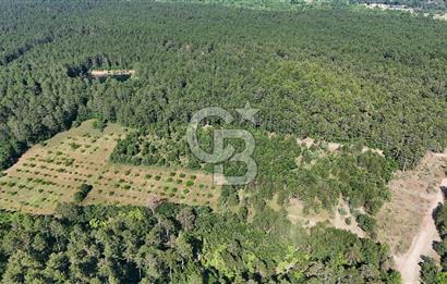 Çanakkale Yenice Örencik Köyü'nde Satılık 7123 M² Tarla !