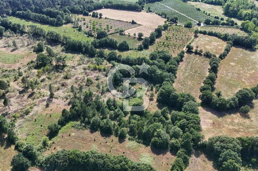 Çanakkale Yenice Örencik Köyü'nde Satılık 7123 M² Tarla !