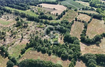 Çanakkale Yenice Örencik Köyü'nde Satılık 7123 M² Tarla !