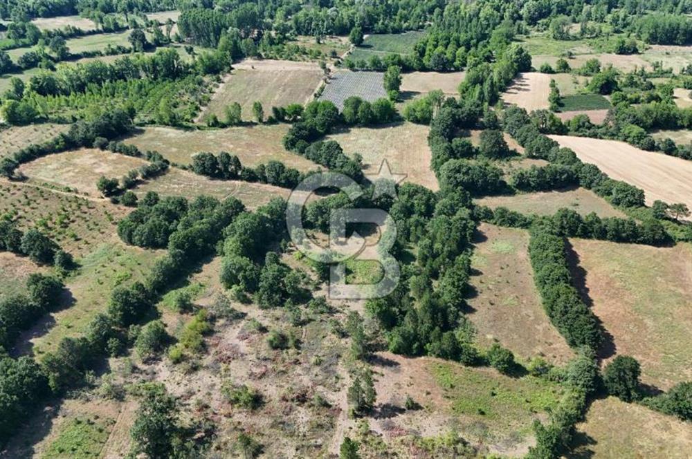 Çanakkale Yenice Örencik Köyü'nde 1902 M² Satılık Tarla !