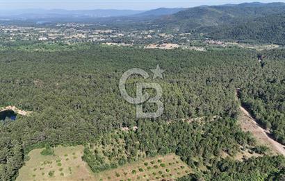 Çanakkale Yenice Örencik Köyü'nde Satılık 7123 M² Tarla !