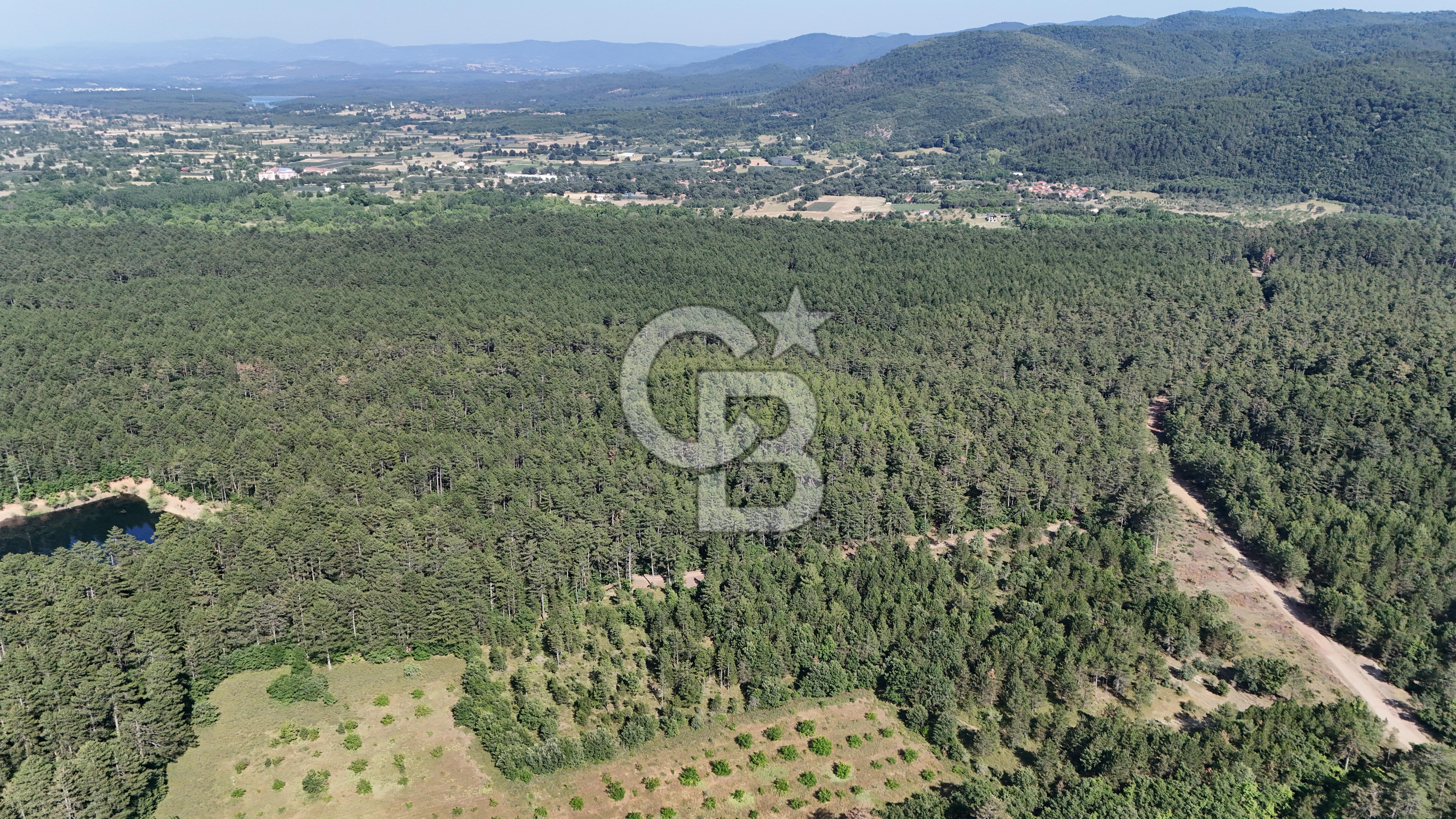 Çanakkale Yenice Örencik Köyü'nde Satılık 7123 M² Tarla !