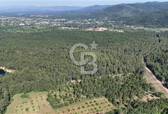 Çanakkale Yenice Örencik Köyü'nde Satılık 7123 M² Tarla !