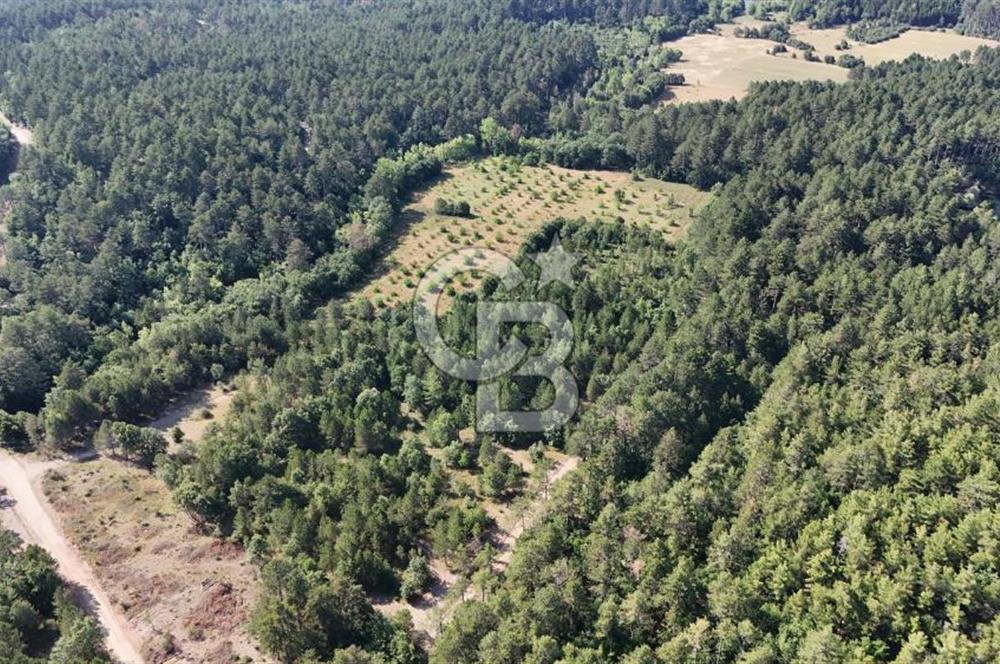Çanakkale Yenice Örencik Köyü'nde Satılık 7123 M² Tarla !
