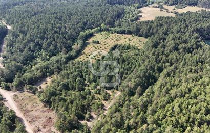 Çanakkale Yenice Örencik Köyü'nde Satılık 7123 M² Tarla !