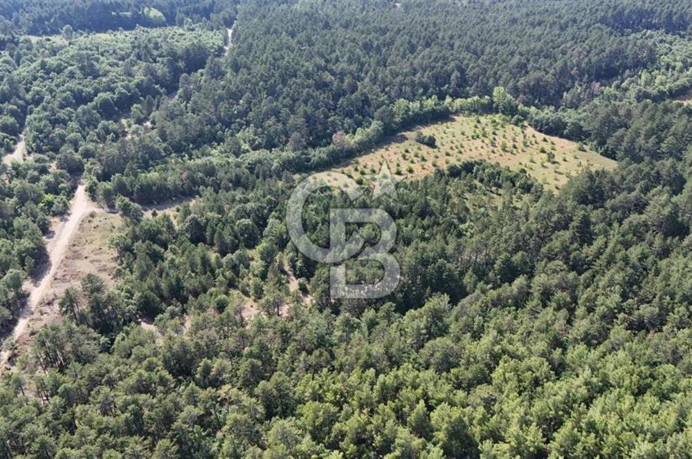 Çanakkale Yenice Örencik Köyü'nde Satılık 7123 M² Tarla !