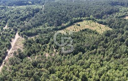 Çanakkale Yenice Örencik Köyü'nde Satılık 7123 M² Tarla !