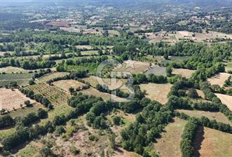 Çanakkale Yenice Örencik Köyü'nde 1902 M² Satılık Tarla !