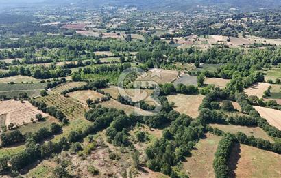 Çanakkale Yenice Örencik Köyü'nde 1902 M² Satılık Tarla !