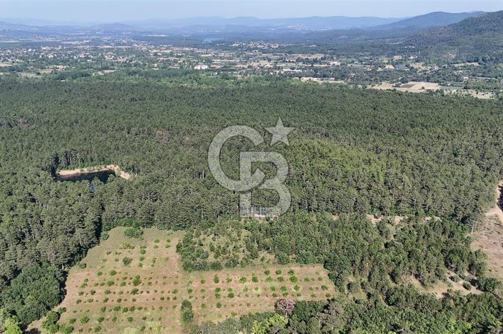 Çanakkale Yenice Örencik Köyü'nde Satılık 7123 M² Tarla !