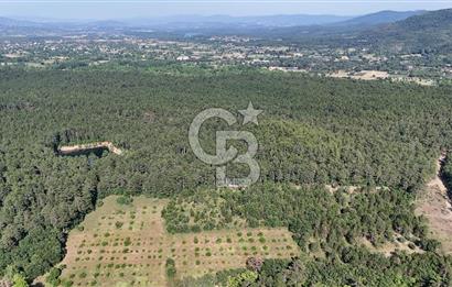 Çanakkale Yenice Örencik Köyü'nde Satılık 7123 M² Tarla !